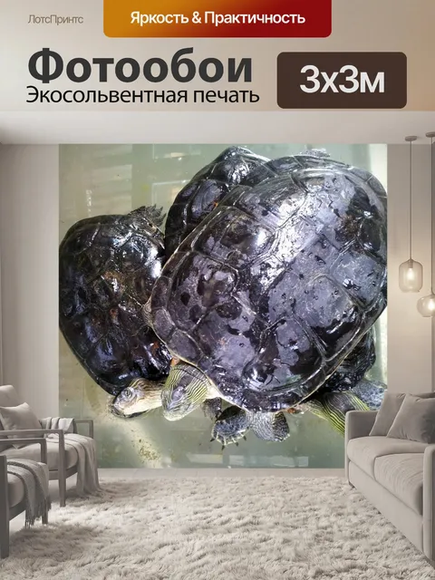 Фотообои Черепаха стремление к Дыхание