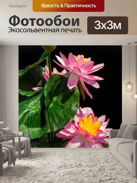Фотообои Лотос