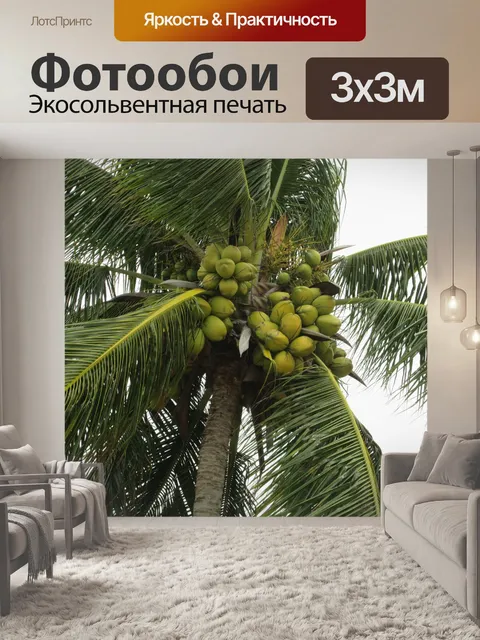 Фотообои Какать