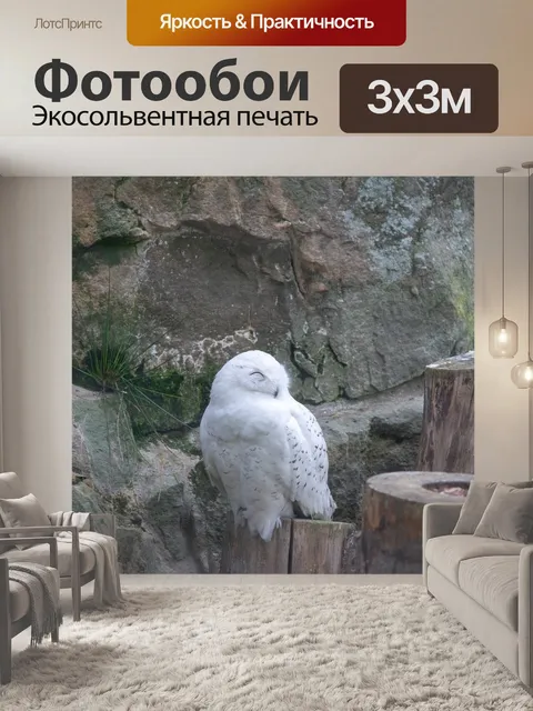 Фотообои Птица