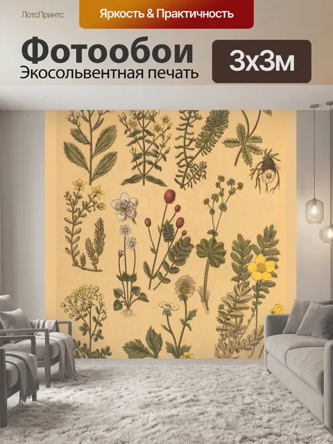 Фотообои Коллаж старинных ботанических растений