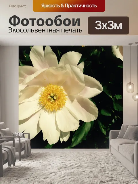 Фотообои Пион