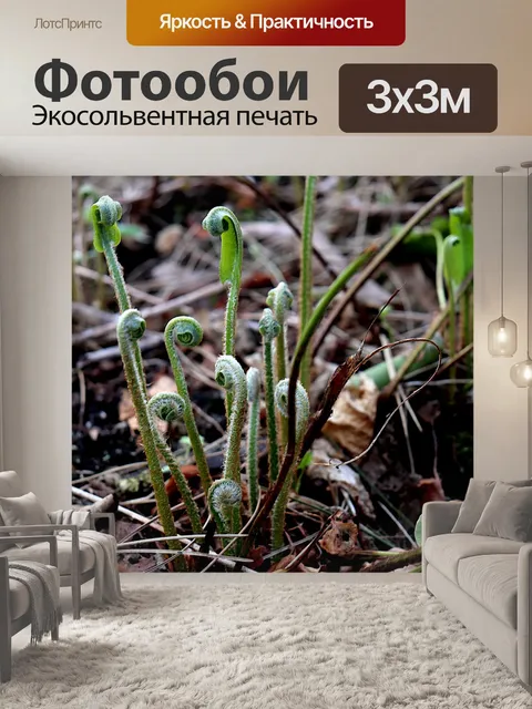 Фотообои Папоротник