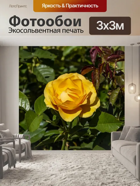 Фотообои Желтая роза