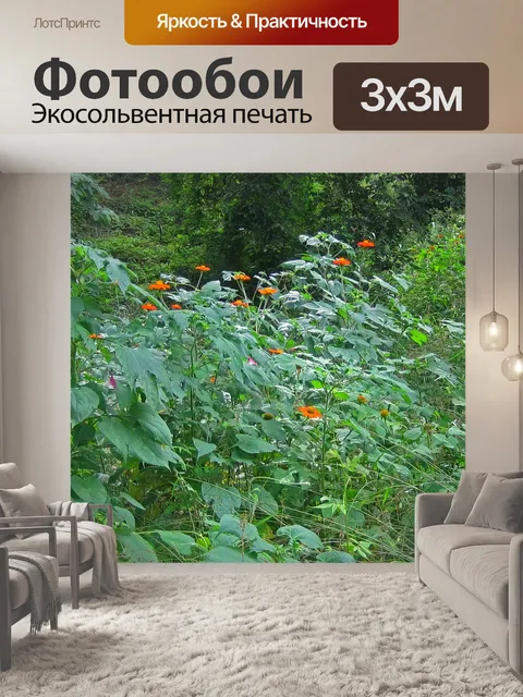 Фотообои Оранжевые полевые цветы в растительности