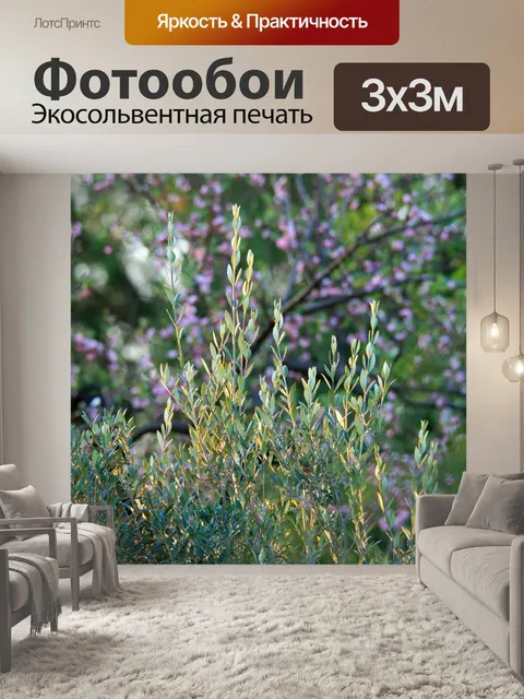 Фотообои оливковые веточки в свете