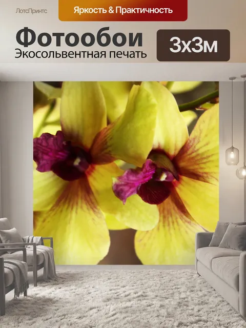 Фотообои орхидей
