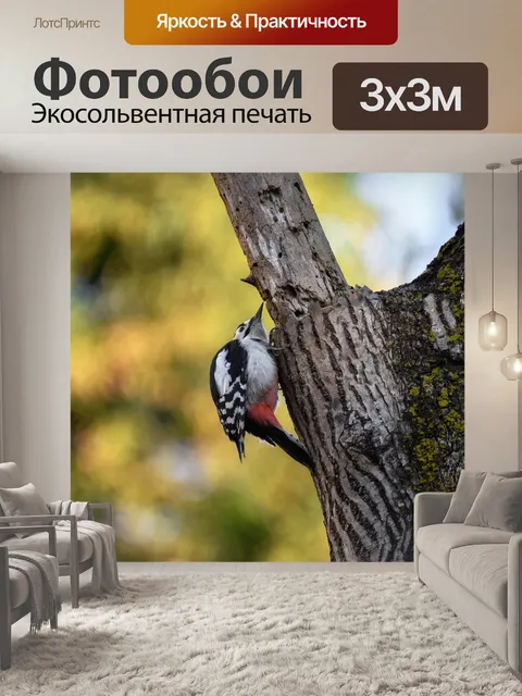 Фотообои Животное