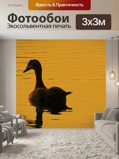 Фотообои Золотой час