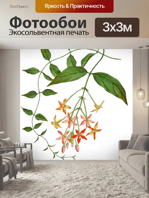 Фотообои Винтажный клипарт цветочная иллюстрация