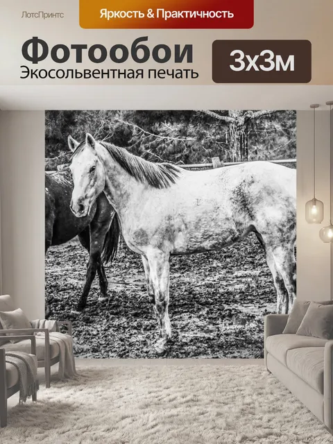 Фотообои Лошади
