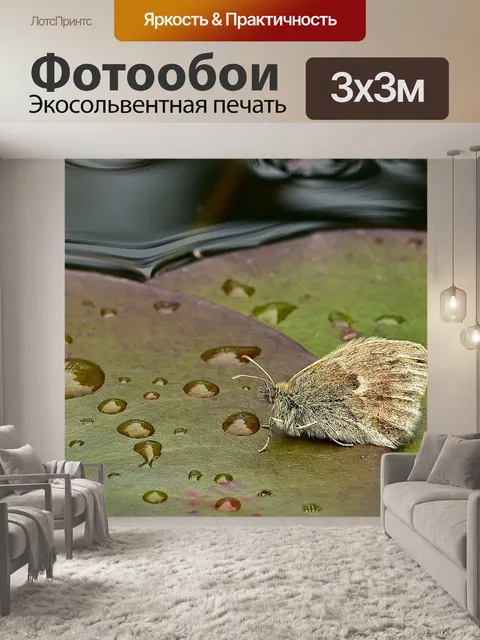 Фотообои Бабочка