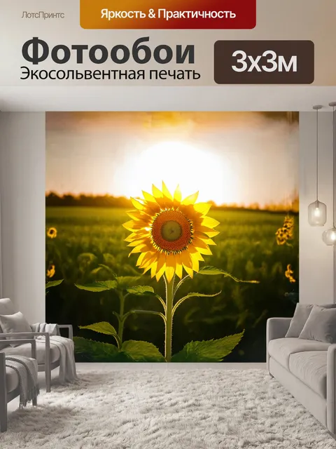 Фотообои подсолнух, излучающий яркие желтые лучи, крутится вслед за солнцем, стоя на фоне бескрайних зеленых лугов