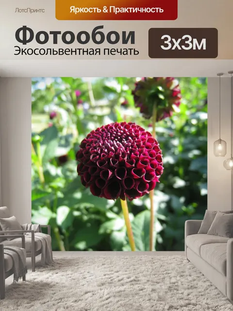 Фотообои Далия