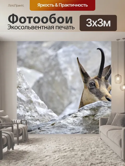 Фотообои Серна