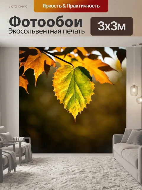 Фотообои листик на ветру