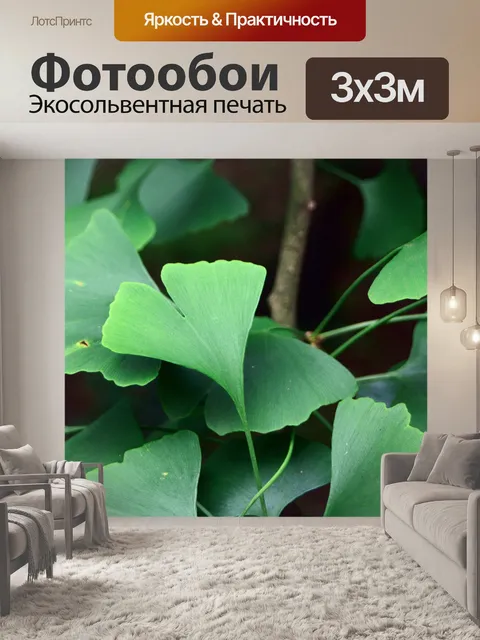 Фотообои Гинкго