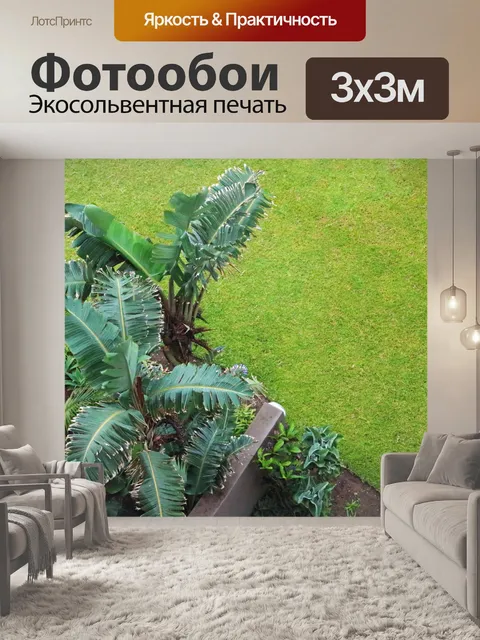Фотообои зеленая субтропическая растительность