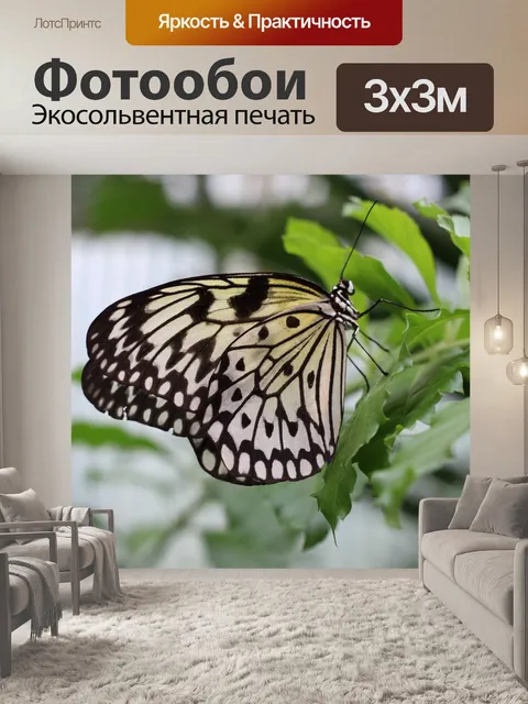Фотообои Бабочка