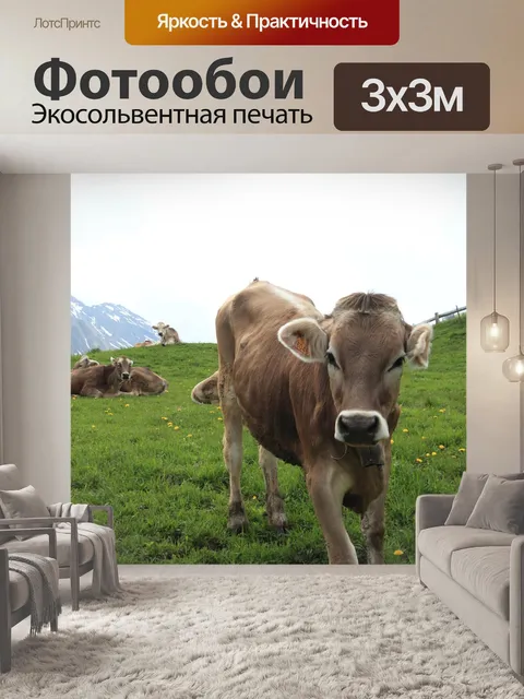 Фотообои Италия