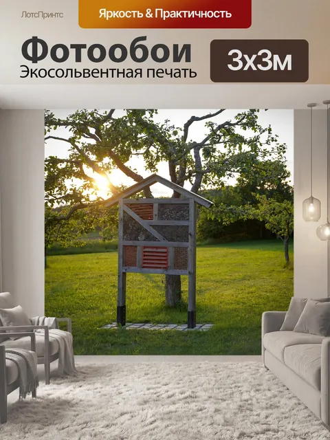Фотообои Лес