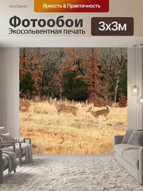 Фотообои Три Белохвостый олень в поле