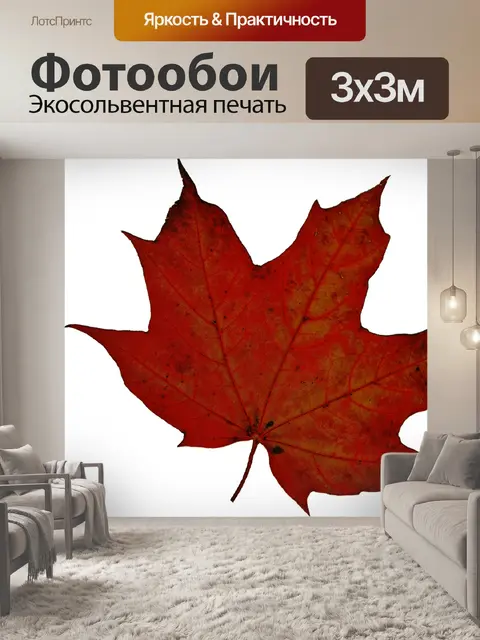 Фотообои Осенний Лист