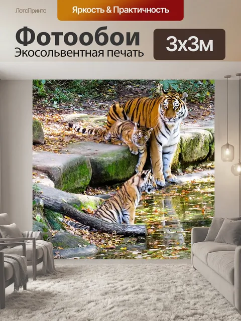 Фотообои Тигр