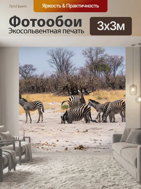 Фотообои Зебры