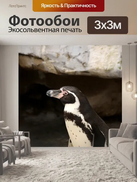 Фотообои Пингвин в пещере