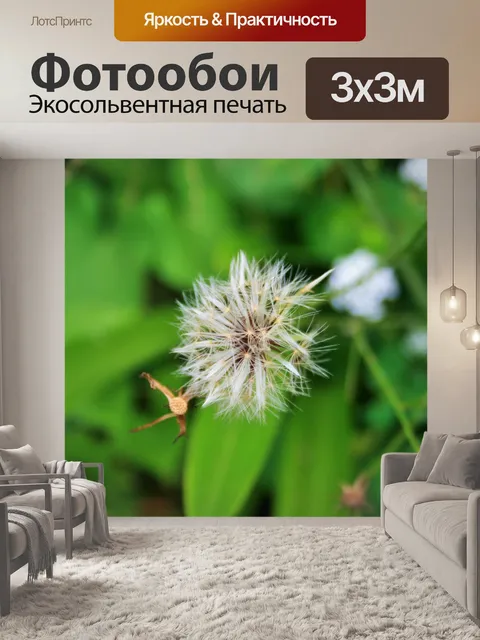 Фотообои пушистый одуванчик