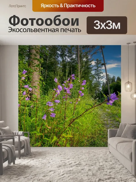 Фотообои Тропа в лесу