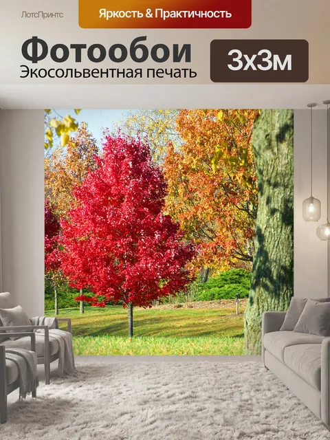 Фотообои Осенние деревья