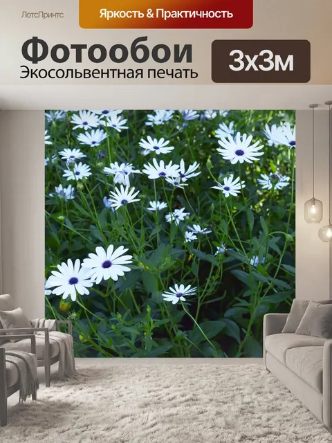 Фотообои Маленькие белые цветы 11