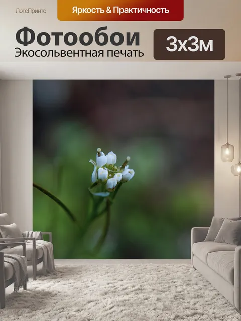 Фотообои Белый