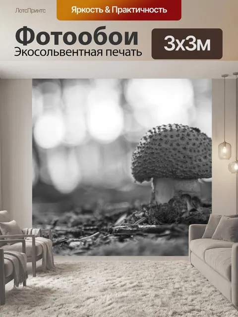 Фотообои грибы