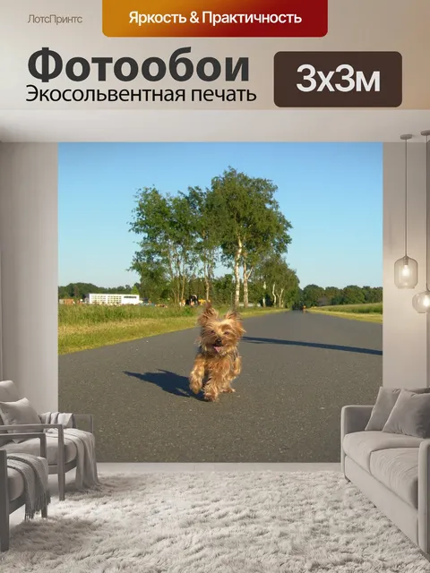 Фотообои Собака