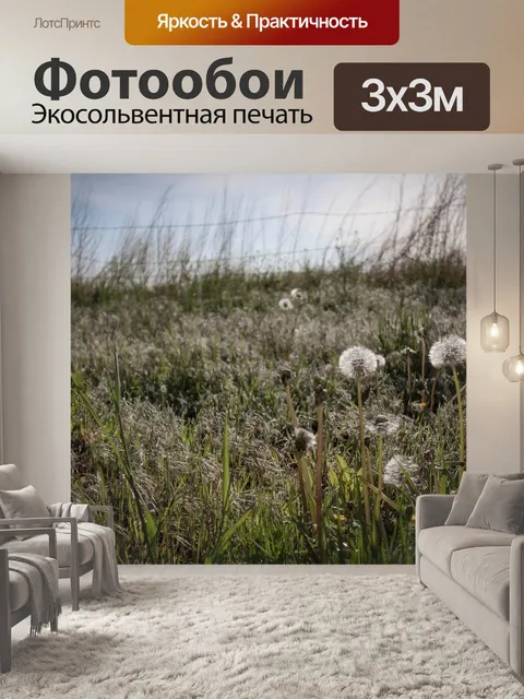 Фотообои Одуванчик