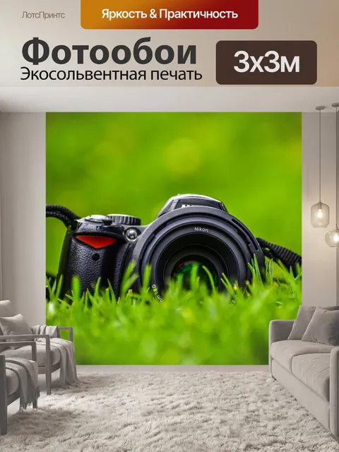 Фотообои Камеры в ровном