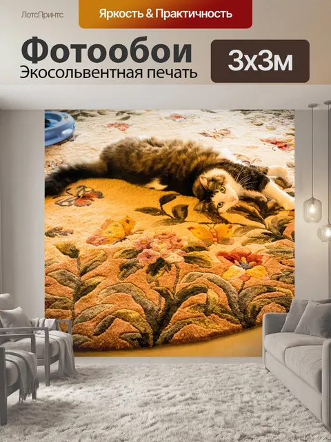 Фотообои Мейн кун