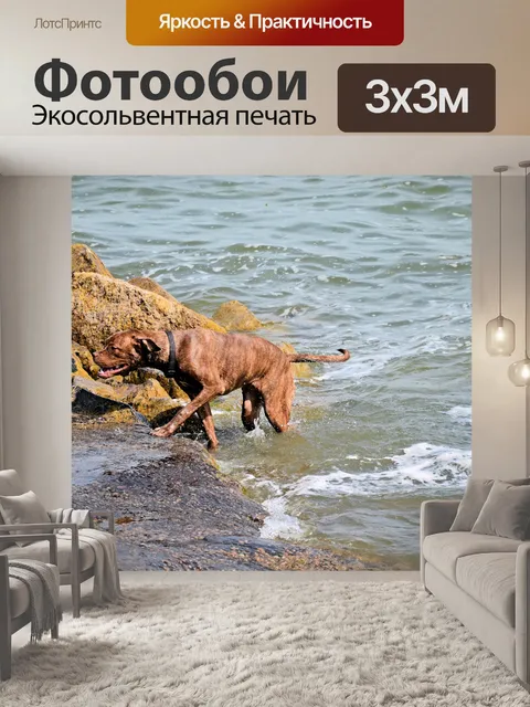 Фотообои Собаки