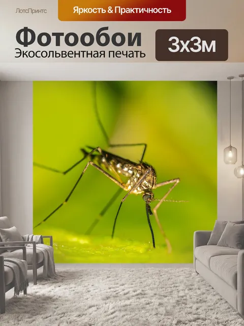 Фотообои Комар