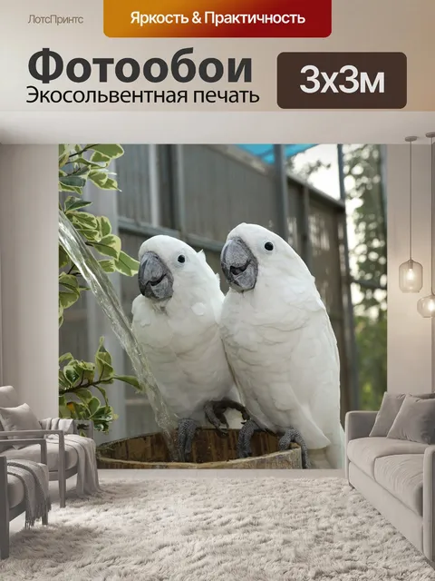 Фотообои Ара играют на берегу озера