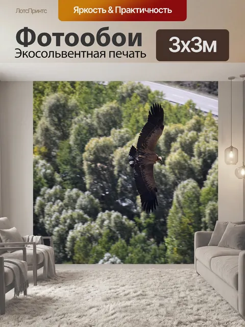 Фотообои Стервятник