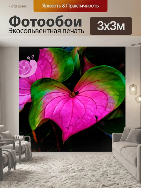 Фотообои Листья улитки