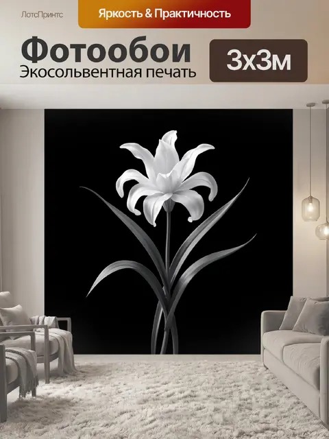 Фотообои Белая лилия на черном фоне