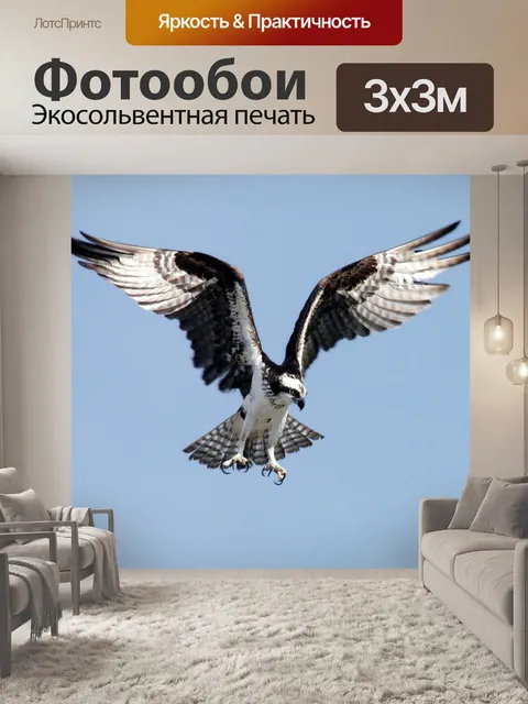 Фотообои Осприй Летающий