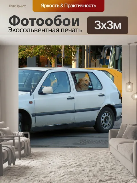 Фотообои Собака