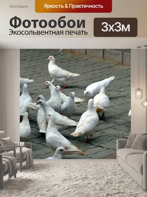 Фотообои Голубь Стая