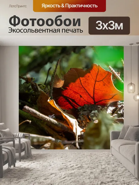 Фотообои Лес
